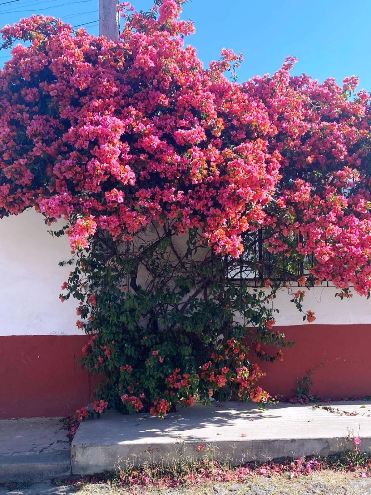 Hotel Posada Camelinas Pátzcuaro Zewnętrze zdjęcie